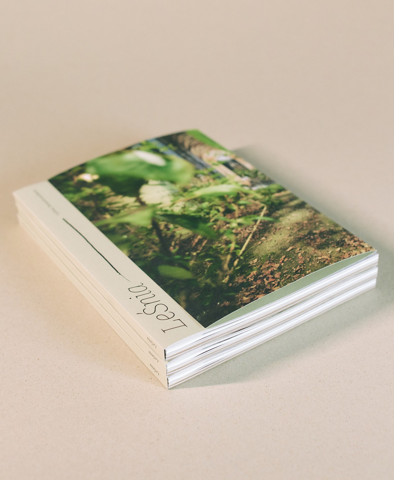 zdjęcie książki LeŚnia na janym tle