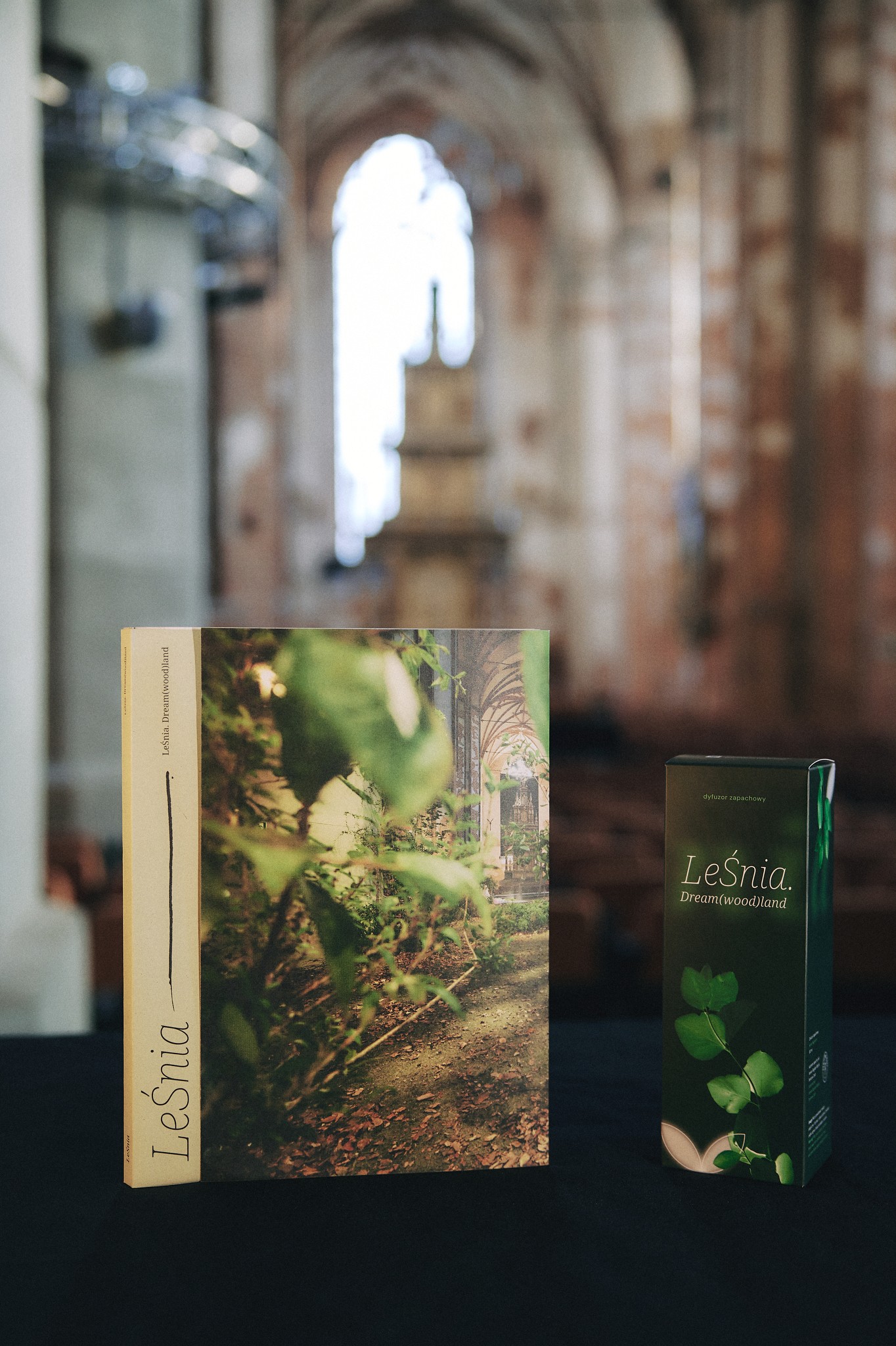 zdjęcie publikacji i dyfuzora