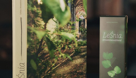 zdjęcie książki i kartonika z dyfuzorem zapachowym LeŚnia