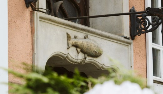 zdjęcie ryby dekoracji architektonicznej na kamienicy