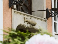 zdjęcie ryby dekoracji architektonicznej na kamienicy