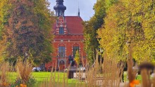 zdjęcie Ratusza Staromiejskiego otoczonego jesiennymi roślinami, drzewa, trawy