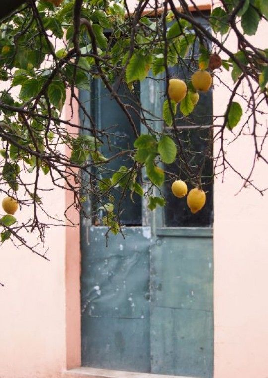 zdjęcie pomarańczy na tle drzwi do domu