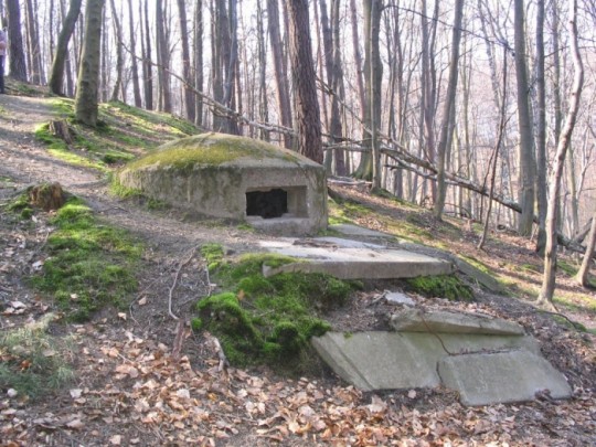 Betonowa kopuła - stanowisko karabinu maszynowego z około 1950 r. Fragment fortyfikacji Kompanijnego Rejonu Umocnionego Redłowo, przy 11. BAS (Fot. Marcin Dudek)