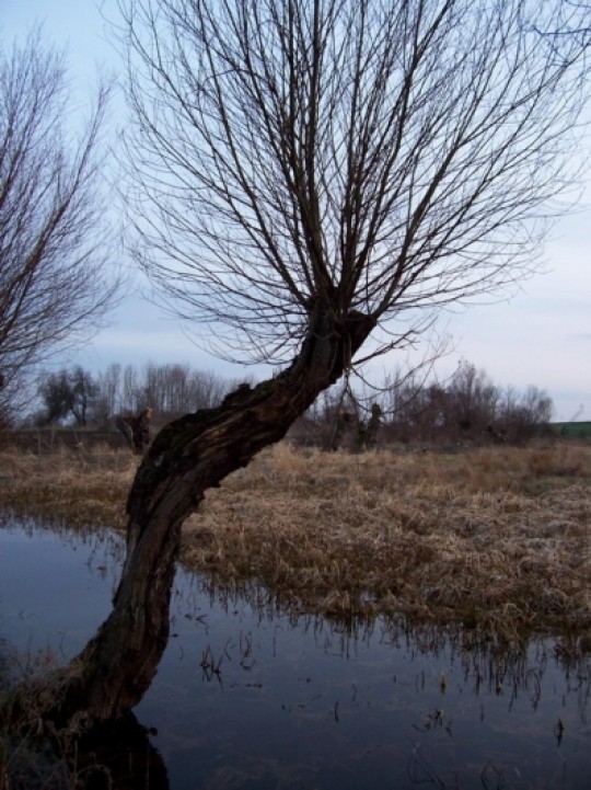 źródło:www.wrotapomorza.pl