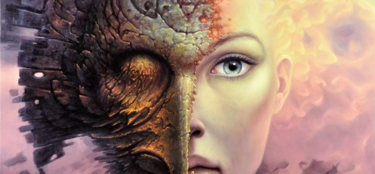 Metamorfoza - Tomasz Kopera