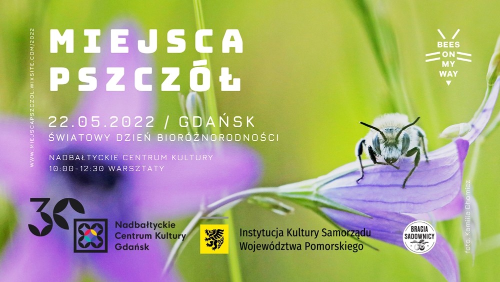 Zdjęcie pszczoły na kwiecie