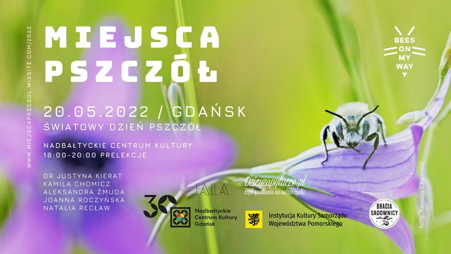 Zdjęice pszczoły na kwiecie