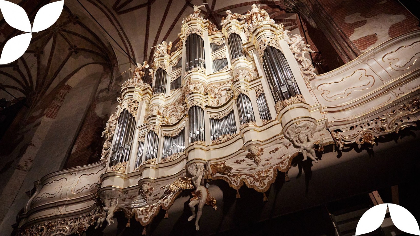 Koncerty organowe w Centrum św. Jana