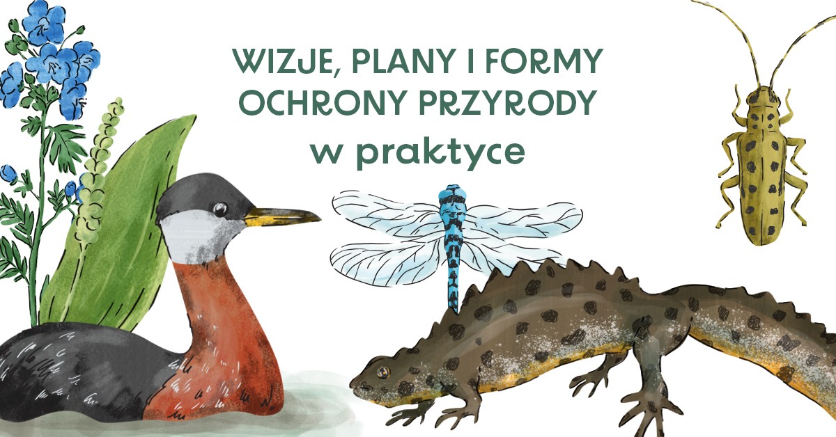 grafika ze zwierzętami (kaczka, ważka, chrabąszcz) i kwiatami oraz z tytułem projektu