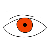 Euroshorts 2019
