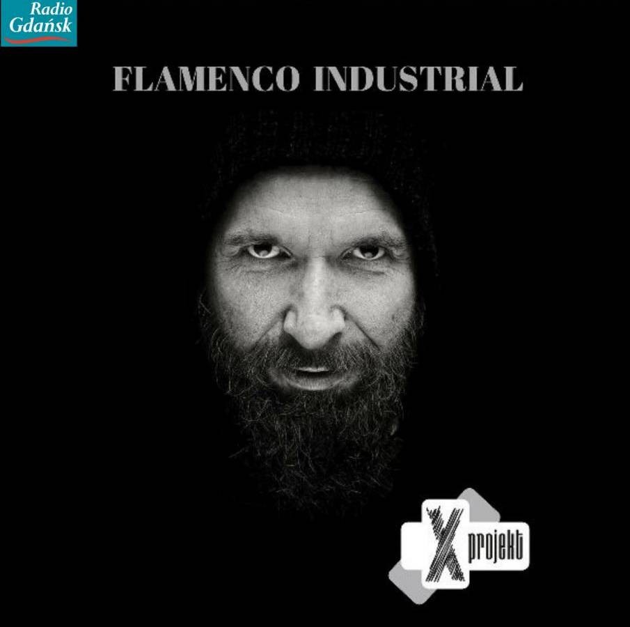 Flamenco Industrial