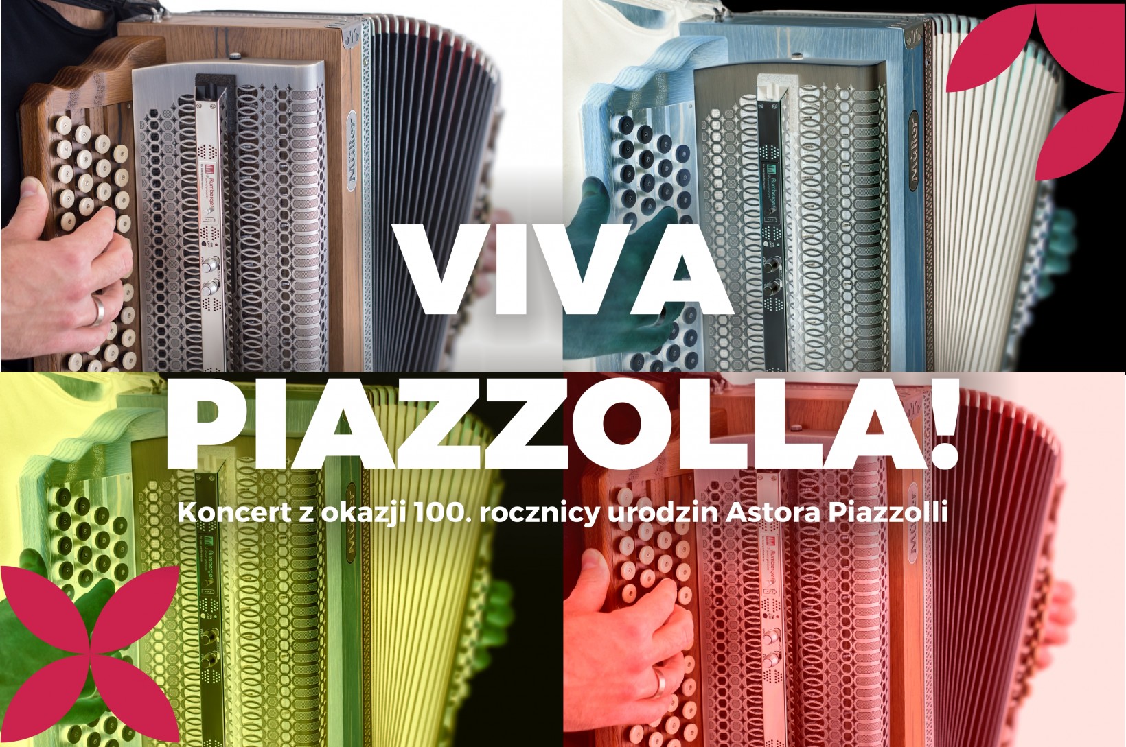akordeon w abstrakcyjnych kolorach z napisem Viva Piazzolla