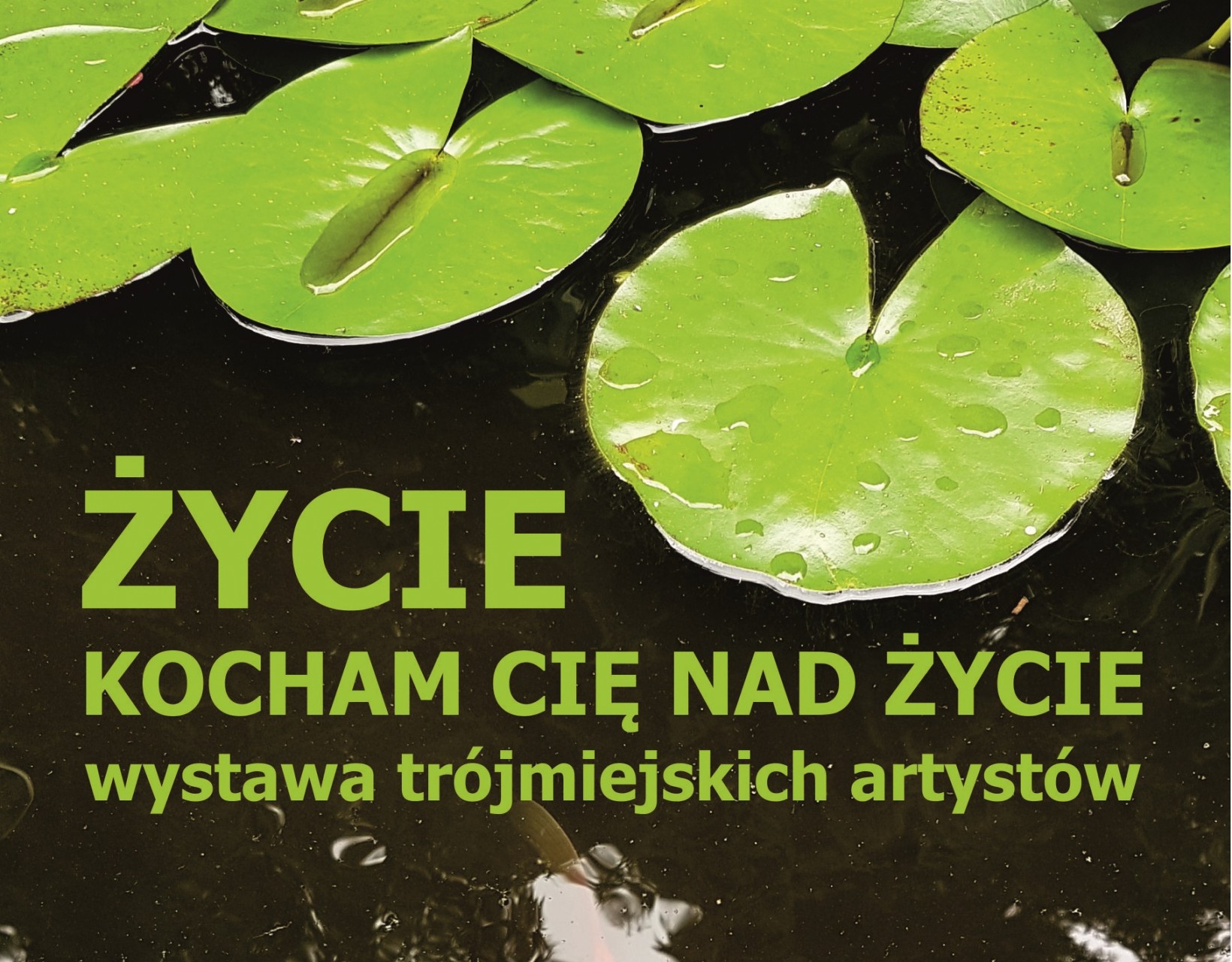 zdjęcie nenufarów - liści na wodzie i napis "Życie, kocham Cię nad życie"