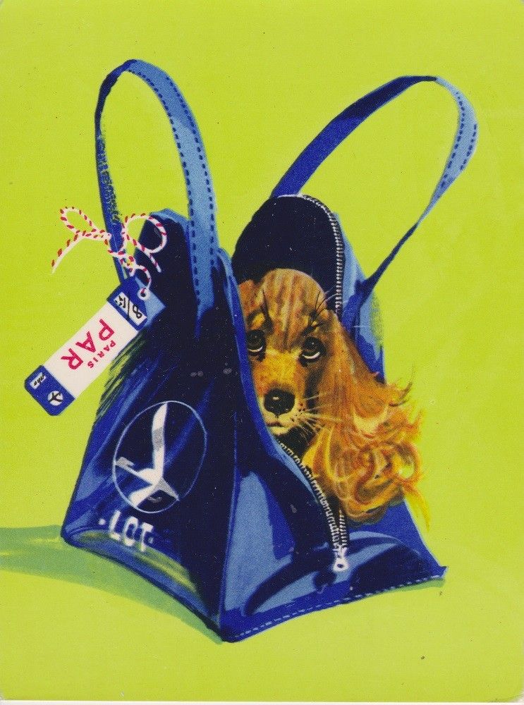 ilustracja psa w torbie z logotypem LOT