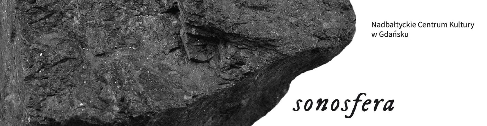 grafika pormująca porjekt sosnosfera - czarno-białe zdjęcie fragmentu skały, napis sosnosfera