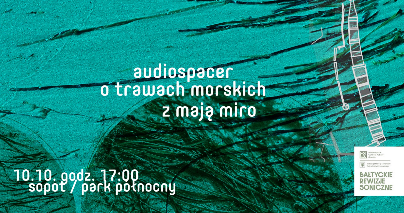 grafika, zdjęcie trawy morskiej, napis: audiospacer o trawach morskich z mają miro. 10.10., godz. 17.00, Sopot/ park Północny"