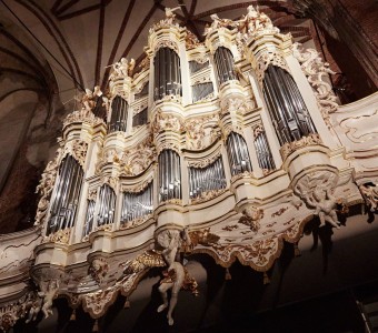 Koncerty organowe w Centrum św. Jana