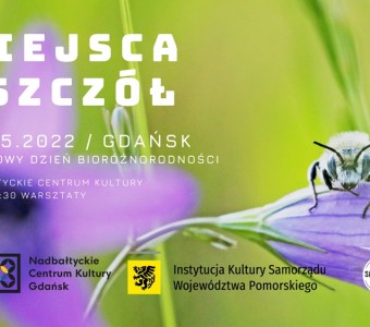 Zdjęcie pszczoły na kwiecie
