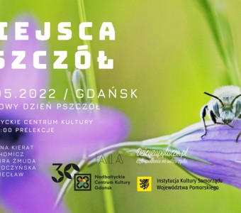 Zdjęice pszczoły na kwiecie