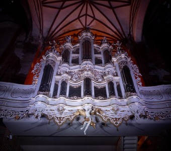 zdjęcie organów 