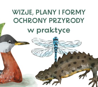 grafika ze zwierzętami (kaczka, ważka, chrabąszcz) i kwiatami oraz z tytułem projektu