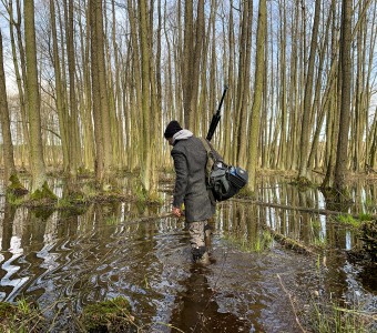 Osoba ubrana w ciemny płaszcz, czapkę i kalosze idzie przez płytką wodę w zalanym lesie. Na ramieniu ma torbę i statyw fotograficzny. Wokół stoją wysokie, bezlistne drzewa, których pnie odbijają się w spokojnej tafli wody.