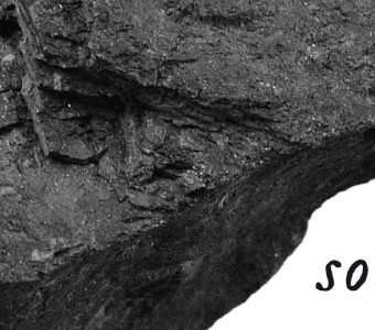 grafika rysunek skali, napis "Sonosfera"