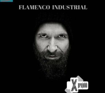 Flamenco Industrial