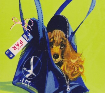 ilustracja psa w torbie z logotypem LOT