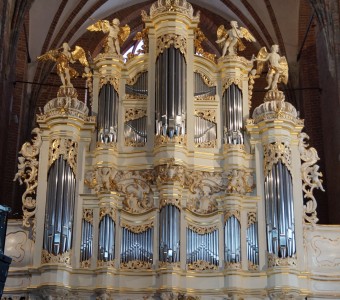 centrum_sw_jana_organy