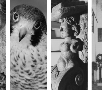 kolaż 4 zdjęci pionowych, odcisk stopy, pustułka, fragment balustrady i zdjęcie archiwalne pamiątkowej tablicy