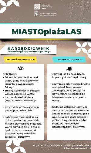 Zdjęcie plaży na nim napis Narzędziownik uważnego spacerowania po plaży